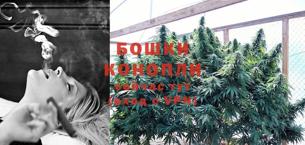 спайс Козловка