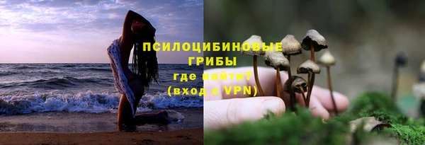 ешки Кодинск
