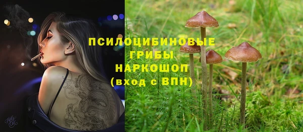 прущий лед Навашино