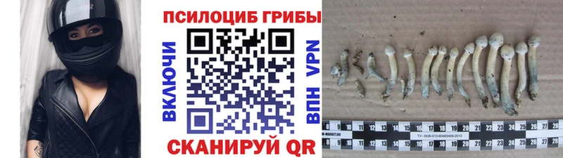 Купить  Белоусово  Псилоцибиновые грибы GOLDEN TEACHER 